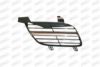 PRASCO DS4222003 Radiator Grille